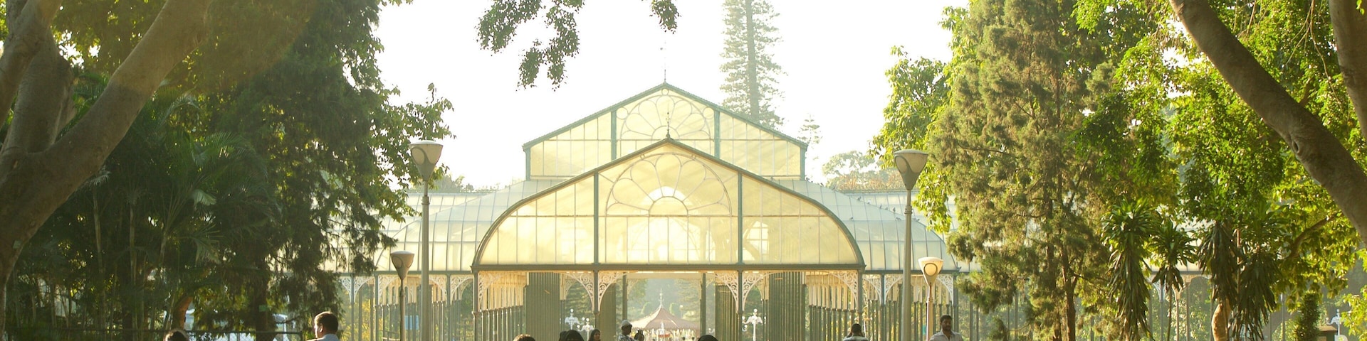 Lalbagh Botanical Gardens as well as a small group of people