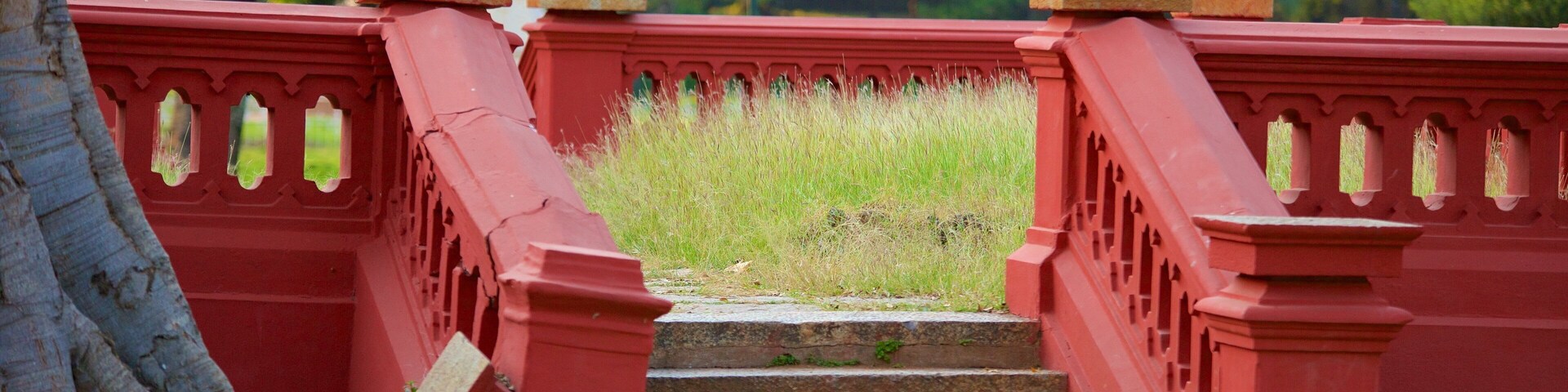 Lalbagh Botanical Gardens featuring a garden