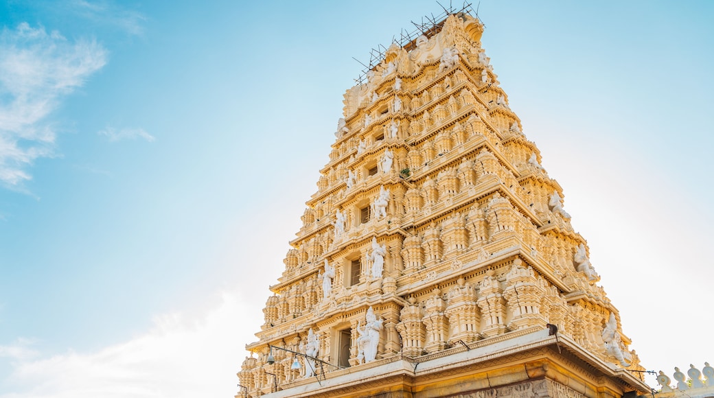 Sri Chamundeshwari Temple in Mysore, India
