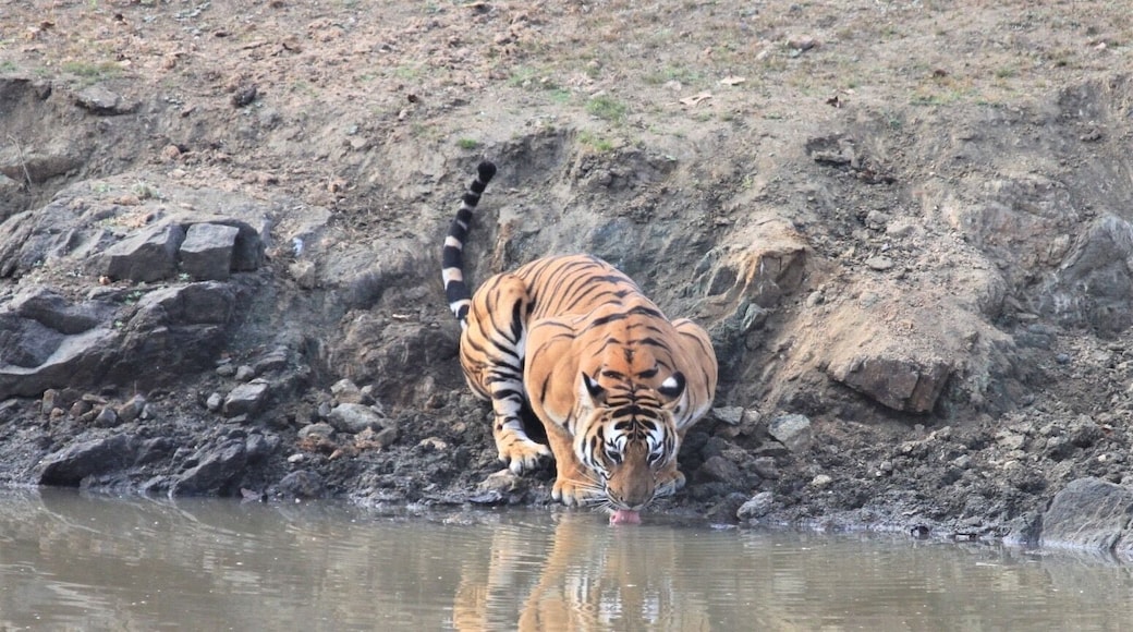 5 small European towns to put on your bucket list
https://foodandtravel.blog/2020/02/22/5-small-european-towns-to-put-on-your-bucket-list/