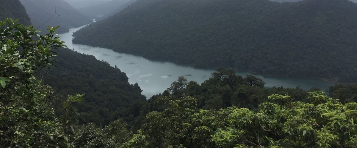 On my way to Jog Falls, I had to stop for this beauty #mesmerizing #hiking #wanderer