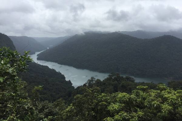 On my way to Jog Falls, I had to stop for this beauty #mesmerizing #hiking #wanderer