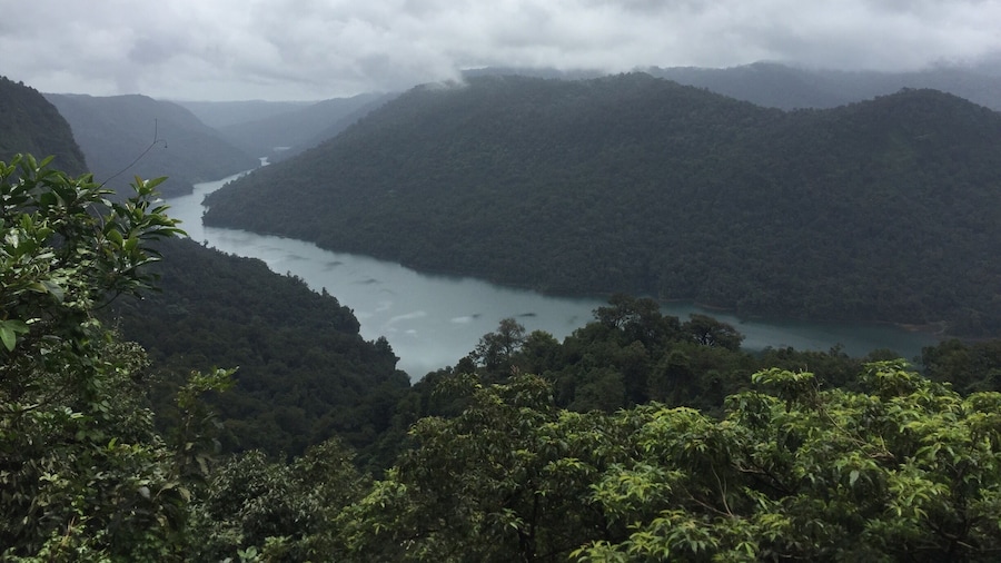 On my way to Jog Falls, I had to stop for this beauty #mesmerizing #hiking #wanderer