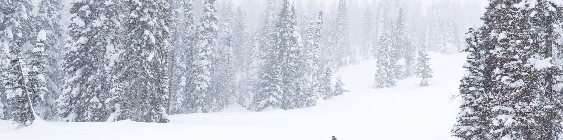 Snowboarding during a snow storm at Tamarack Mountain Resort