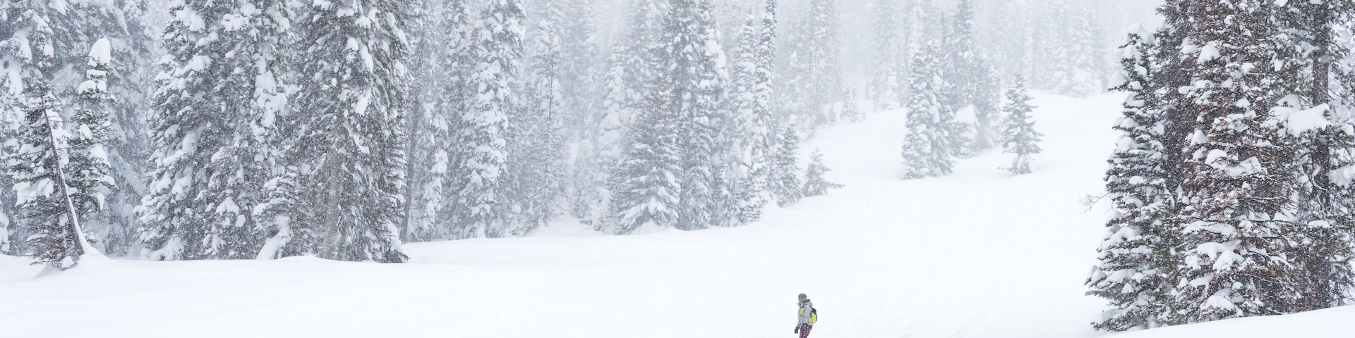 Snowboarding during a snow storm at Tamarack Mountain Resort