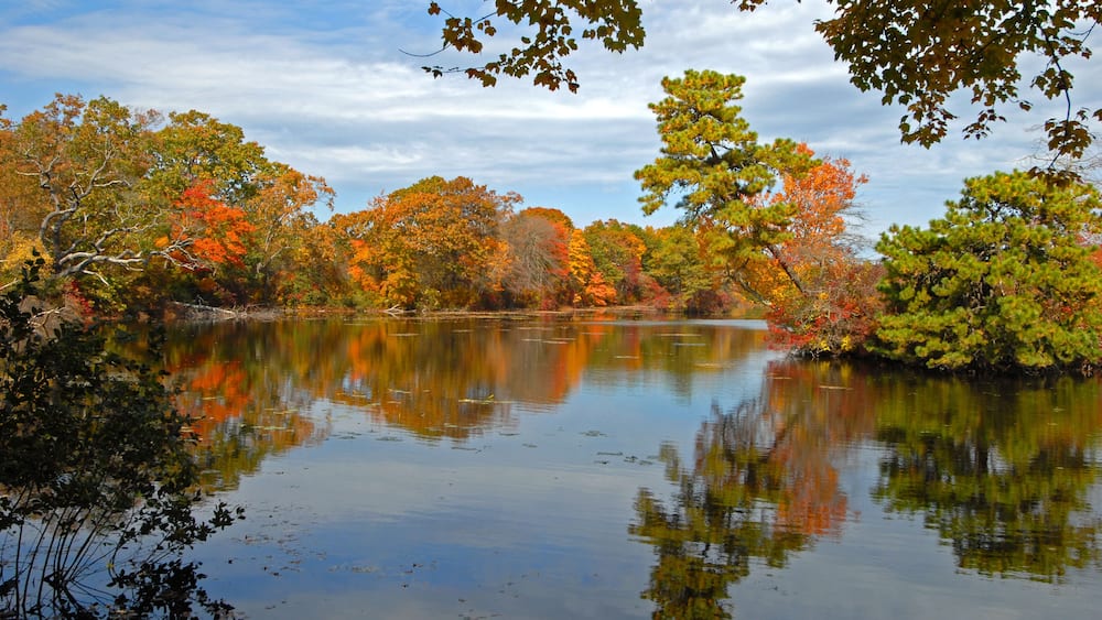 A calm lake surrounded by trees with autumn foliage.