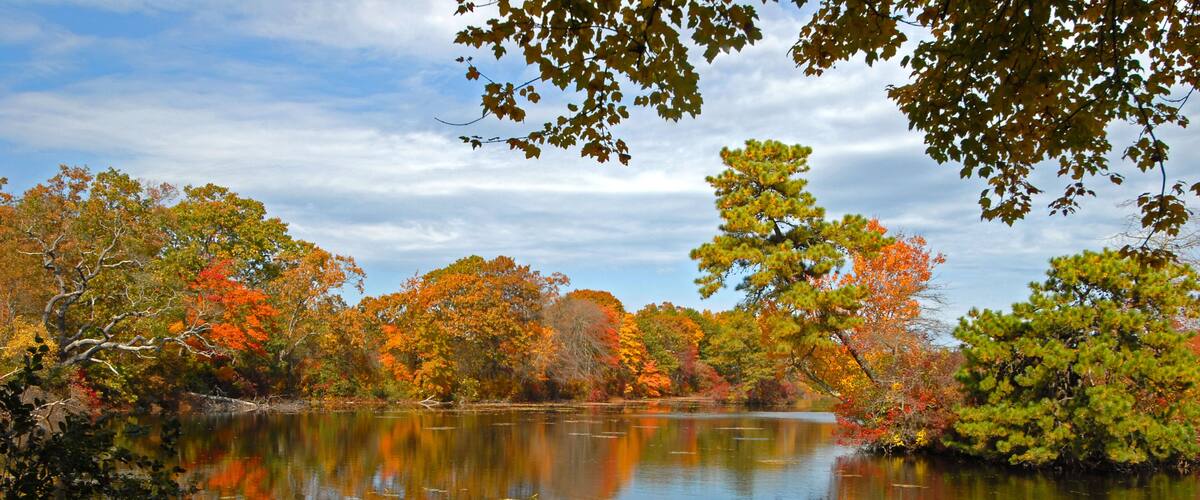 A calm lake surrounded by trees with autumn foliage.