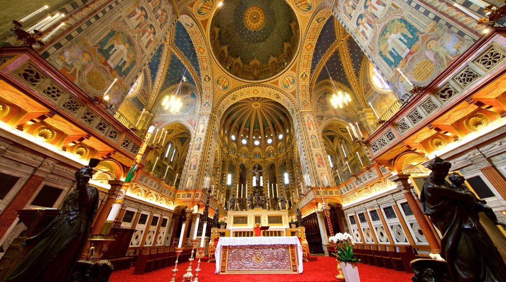 Basilica di Sant\'Antonio da Padova trong đó bao gồm pho tượng, cảnh nội thất và nghệ thuật