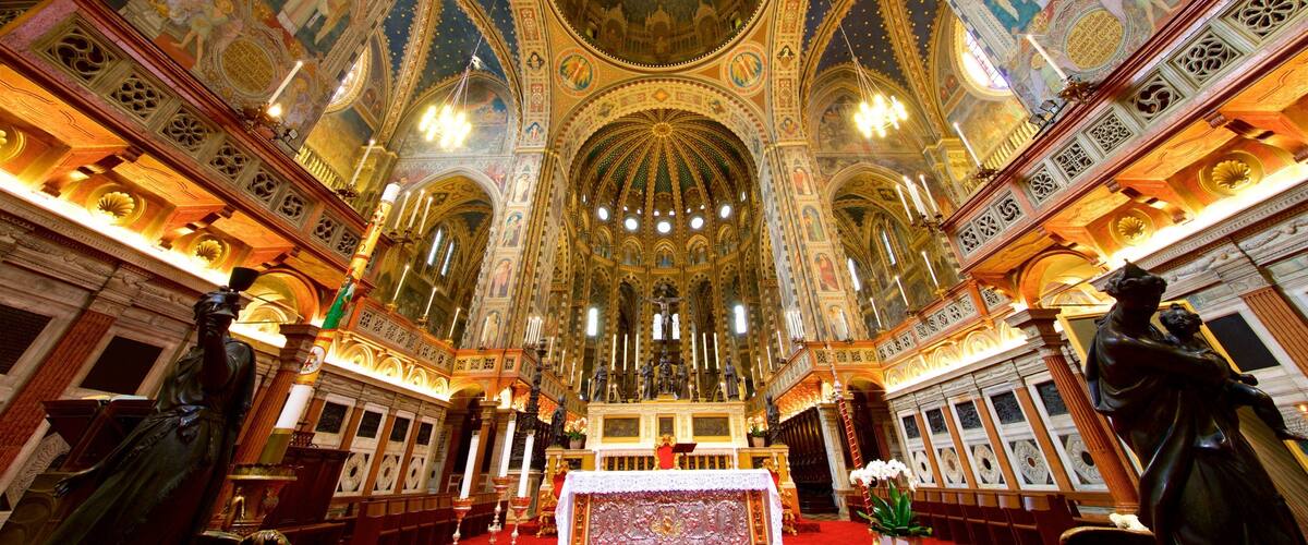 Basilica di Sant\'Antonio da Padova showing a statue or sculpture, heritage elements and art