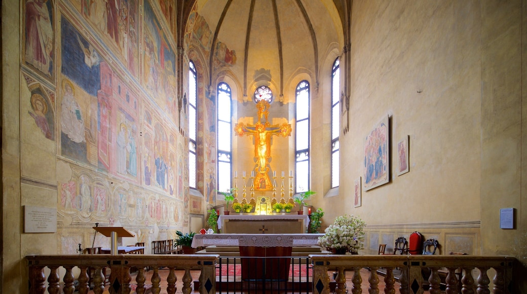 Chiesa degli Eremitani joka esittÀÀ uskonnolliset kohteet, kirkko tai katedraali ja perintökohteet