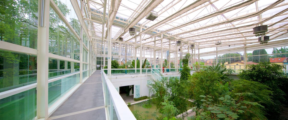 Paduas botaniska trÀdgÄrd som inkluderar en trÀdgÄrd och interiörer