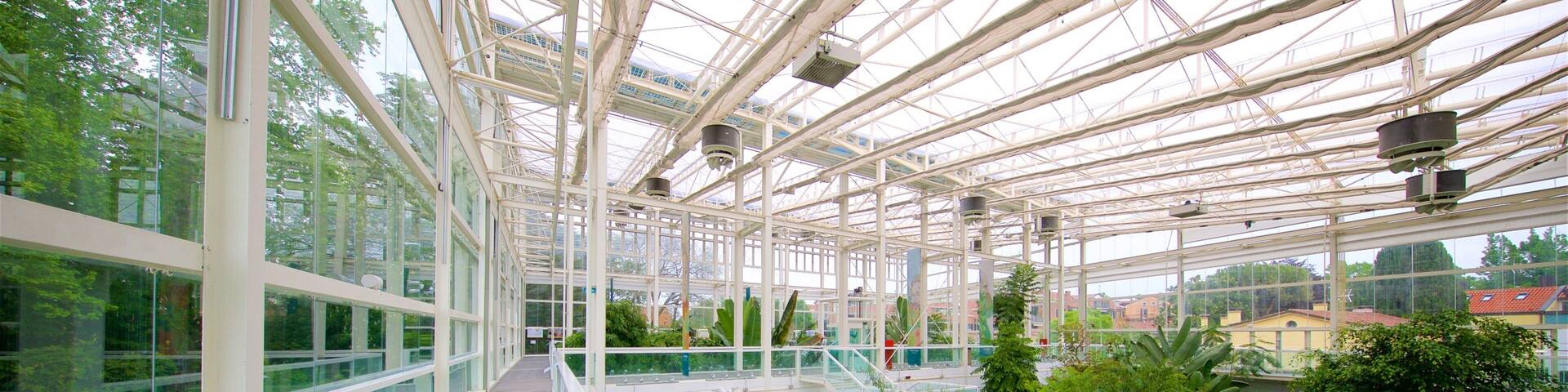 Jardin botanique de Padoue mettant en vedette vues intérieures et jardin
