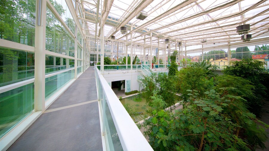 Padua Botanical Garden showing a park and interior views