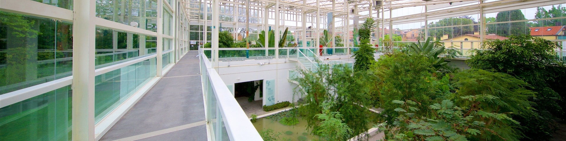 Padua Botanical Garden which includes interior views and a garden