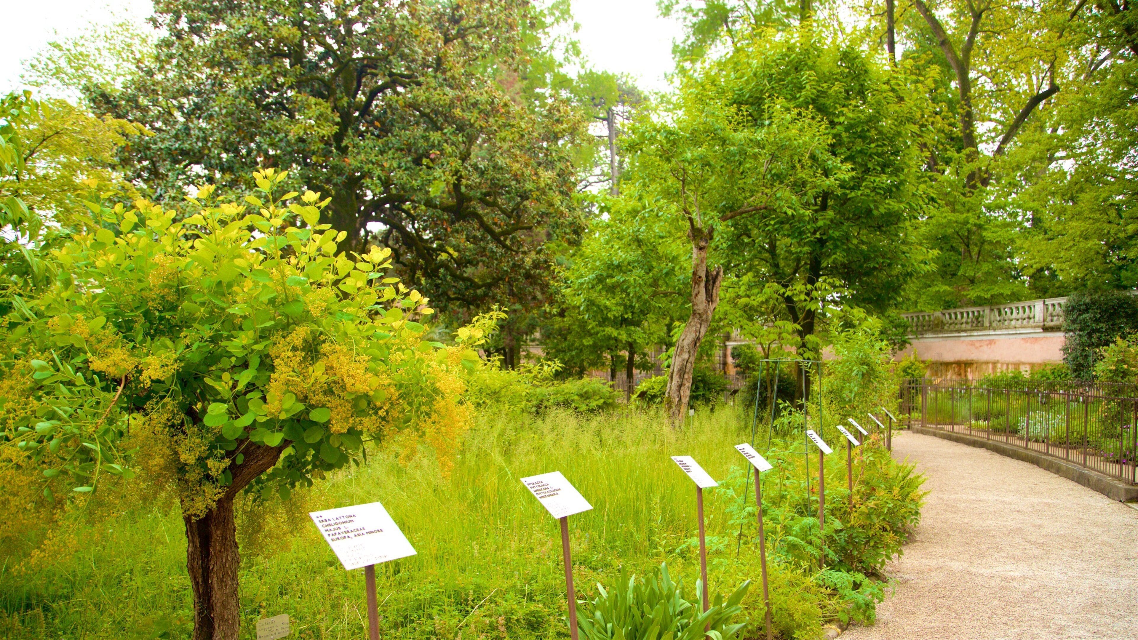 Jardin botanique de Padoue montrant signalisation et parc