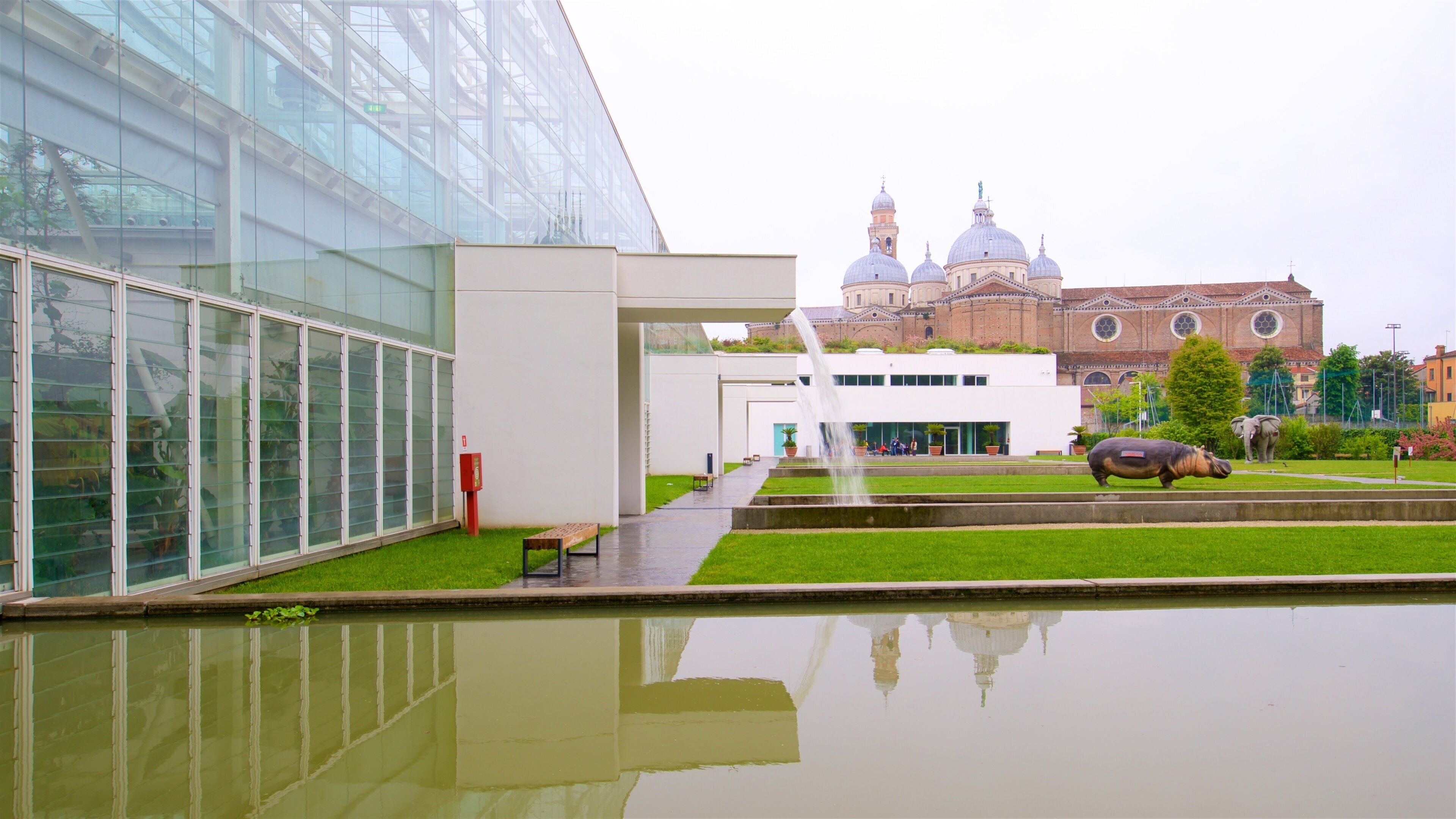 Jardim Botânico de Pádua que inclui uma fonte, arte ao ar livre e um parque