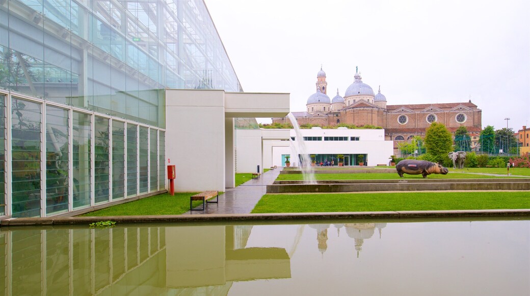 Jardim BotĂąnico de PĂĄdua que inclui uma fonte, arte ao ar livre e um parque