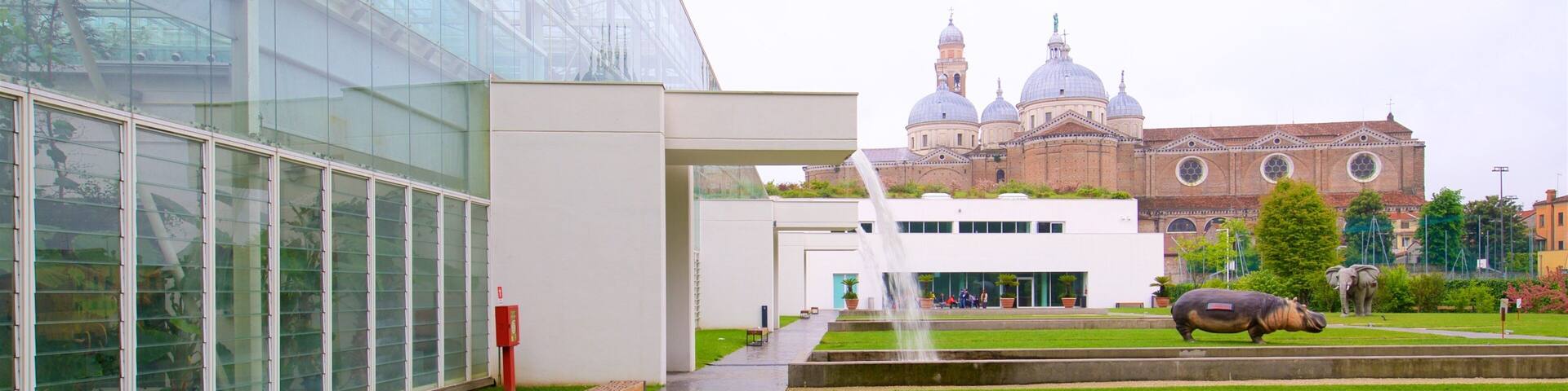 A modern building with large glass windows, a fountain, and a historic church with domes in the background.