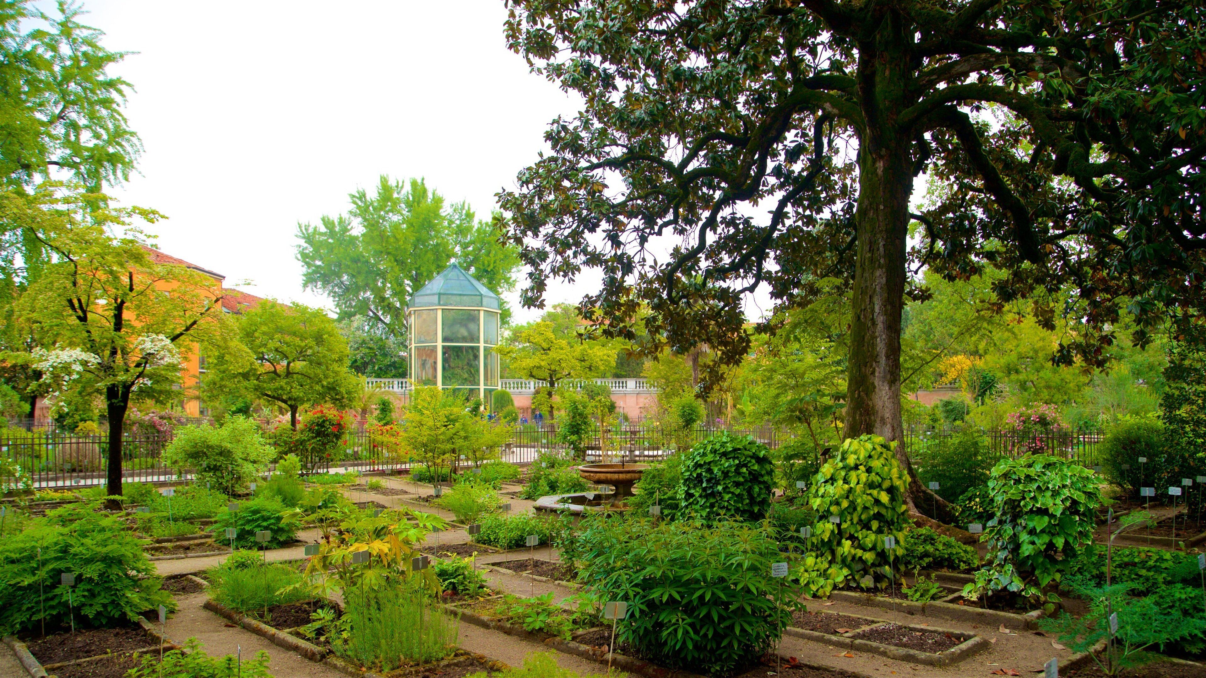 Um jardim exuberante com uma estufa de vidro, diversas plantas e uma grande árvore.