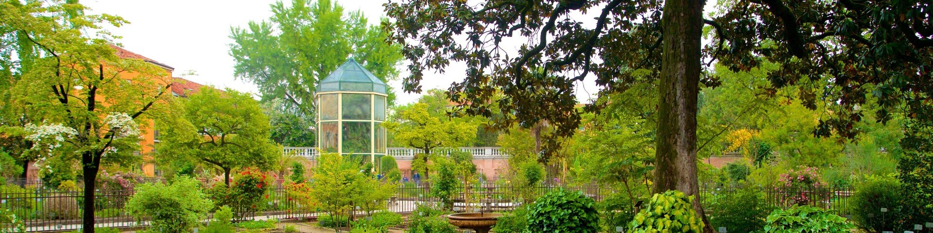 Um jardim exuberante com uma estufa de vidro, diversas plantas e uma grande árvore.