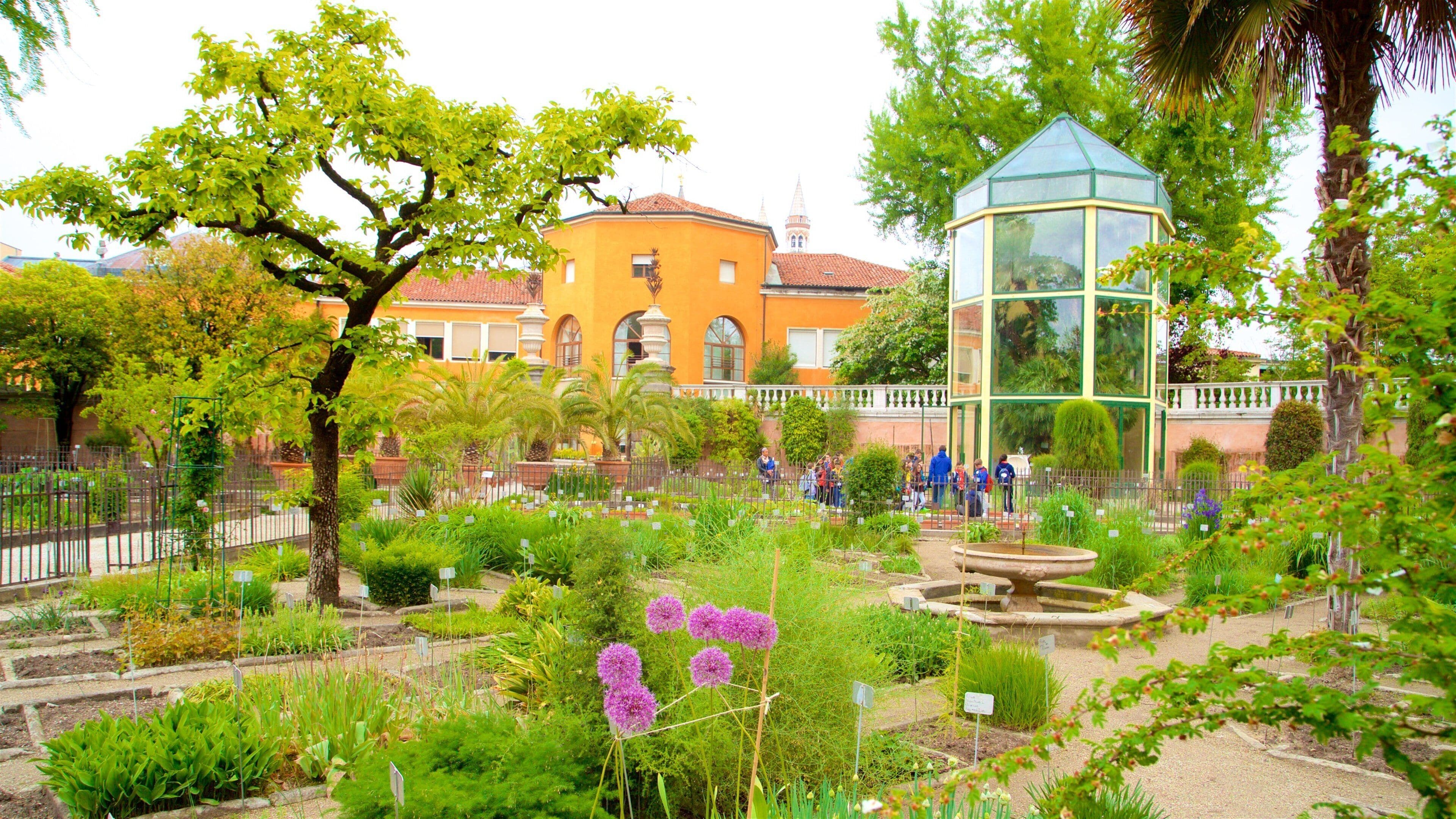 Vườn Bách thảo Padua có tính năng hoa và công viên