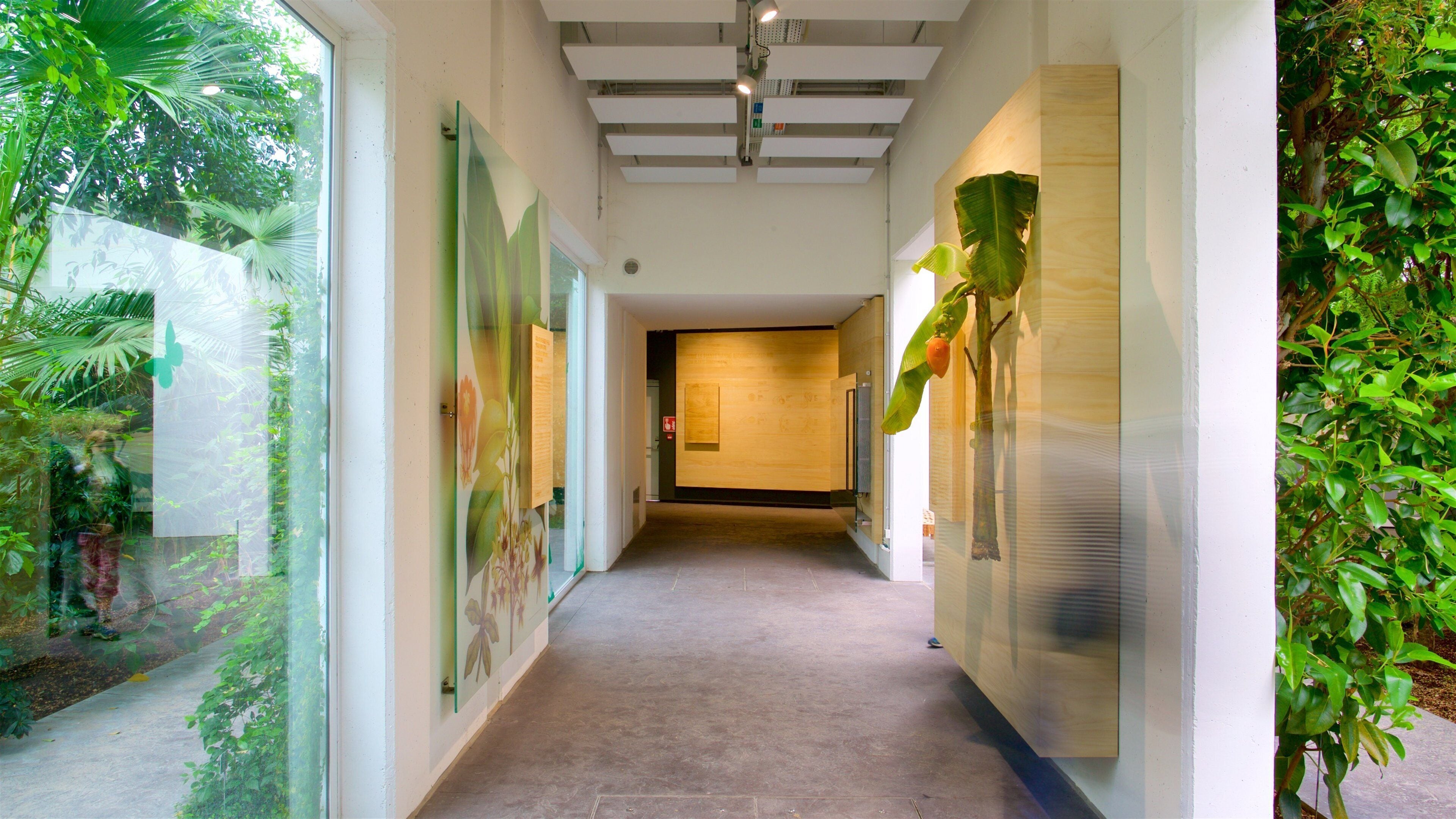 Botanischer Garten von Padua