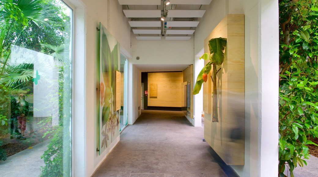 Jardim BotĂąnico de PĂĄdua mostrando arte e vistas internas