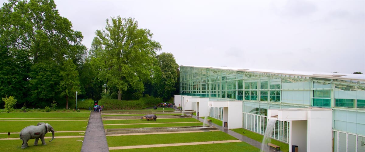 Padua Botanical Garden showing outdoor art, a garden and a fountain