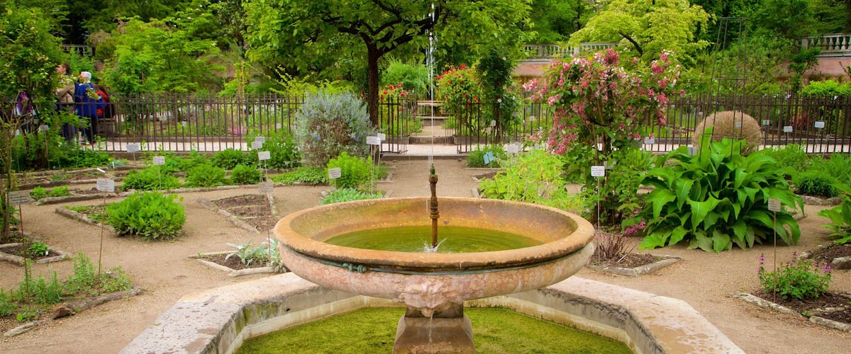 Padua Botanical Garden which includes a fountain and a park