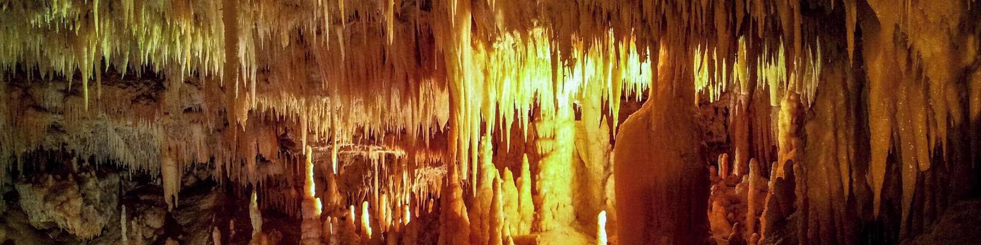 The Castellana Caves (Italian: Grotte di Castellana) are a remarkable karst cave system located in the municipality of Castellana Grotte, in the province of Bari, Apulia. They are one of the most famous show caves of Italy. The caves, discovered in 1938 by the speleologist Franco Anelli, are situated 1 kilometer (0.62 mi) south of Castellana.The entrance is represented by an enormous vertical tunnel 60 meters (200 ft) long. The main cave is named "La Grave" (as abyss), and others are named Black Cavern (Caverna Nera), White Cave (Grotta Bianca) and Precipice Cavern (Caverna del Precipizio).