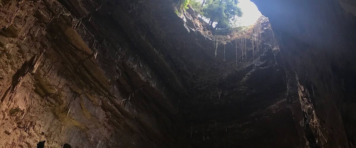 A cave entrance with a natural archway and hanging stalactites.