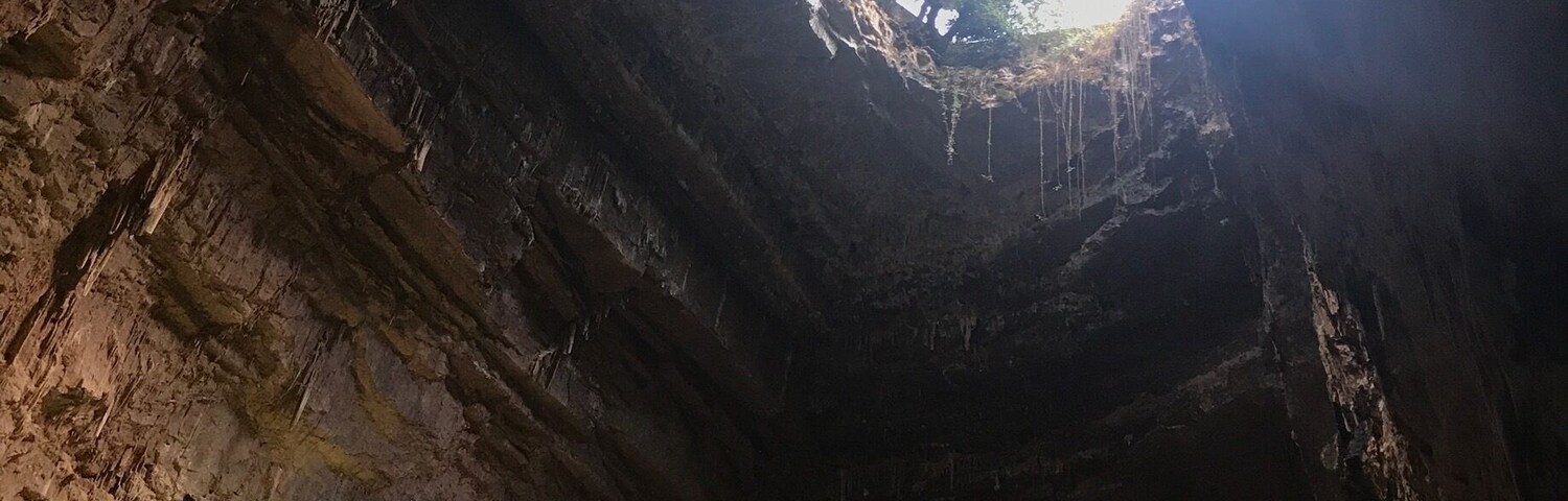 A cave entrance with a natural archway and hanging stalactites.