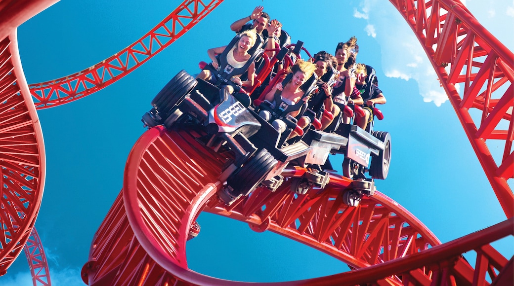 Mirabilandia featuring rides as well as a small group of people