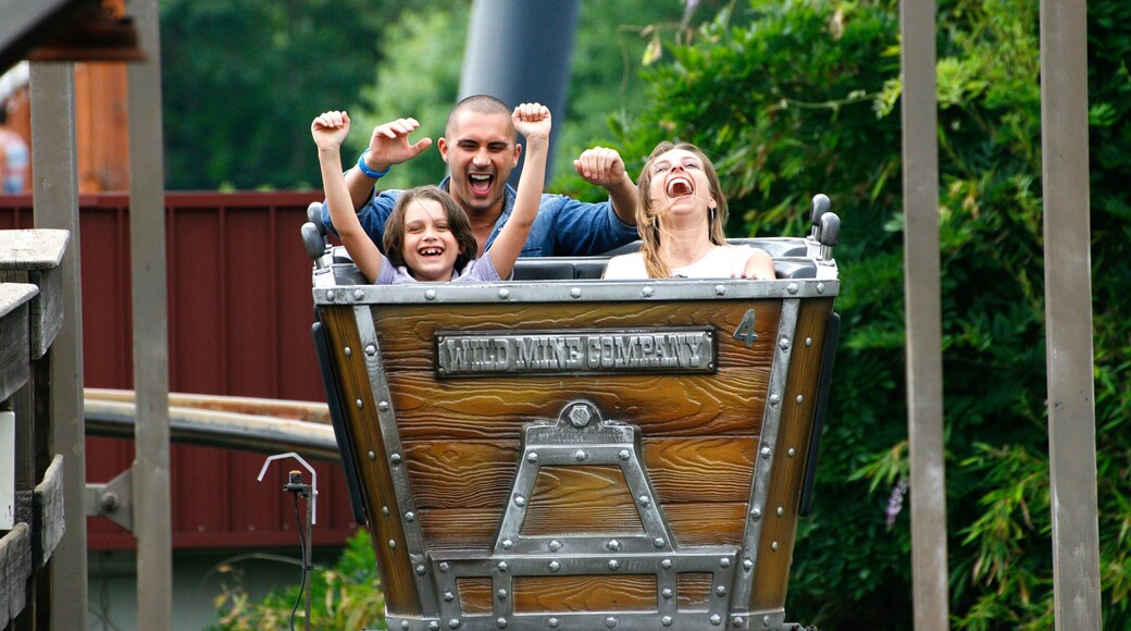 Mirabilandia showing rides as well as a family