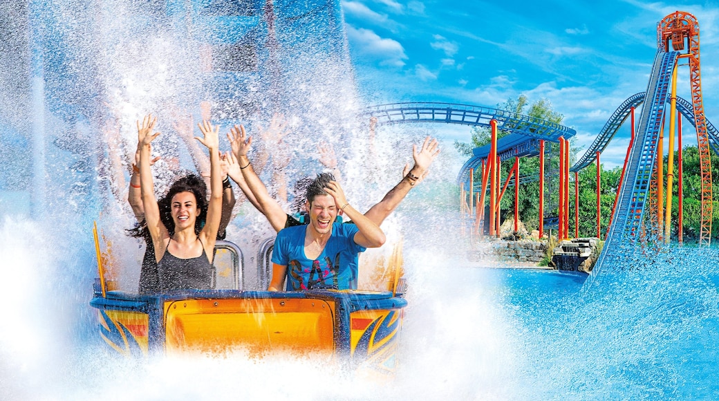 Mirabilandia showing rides and a waterpark as well as a small group of people