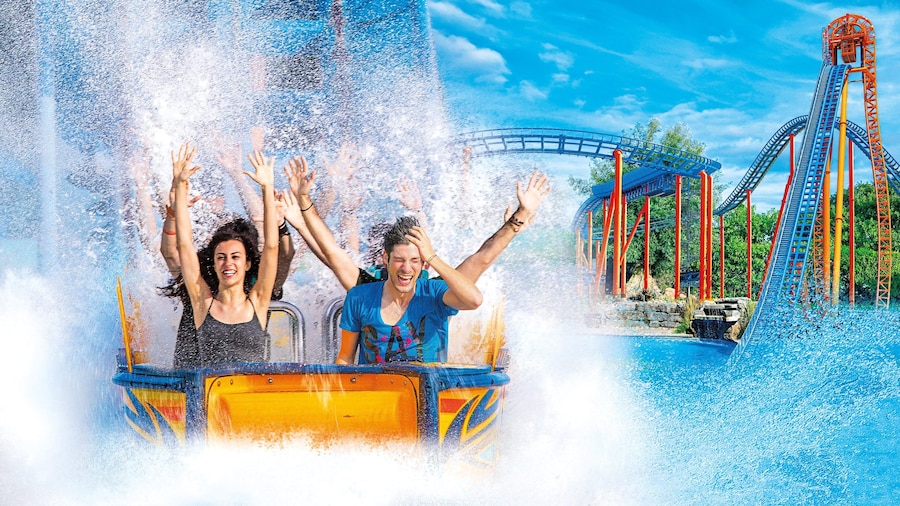 Mirabilandia showing rides and a waterpark as well as a small group of people