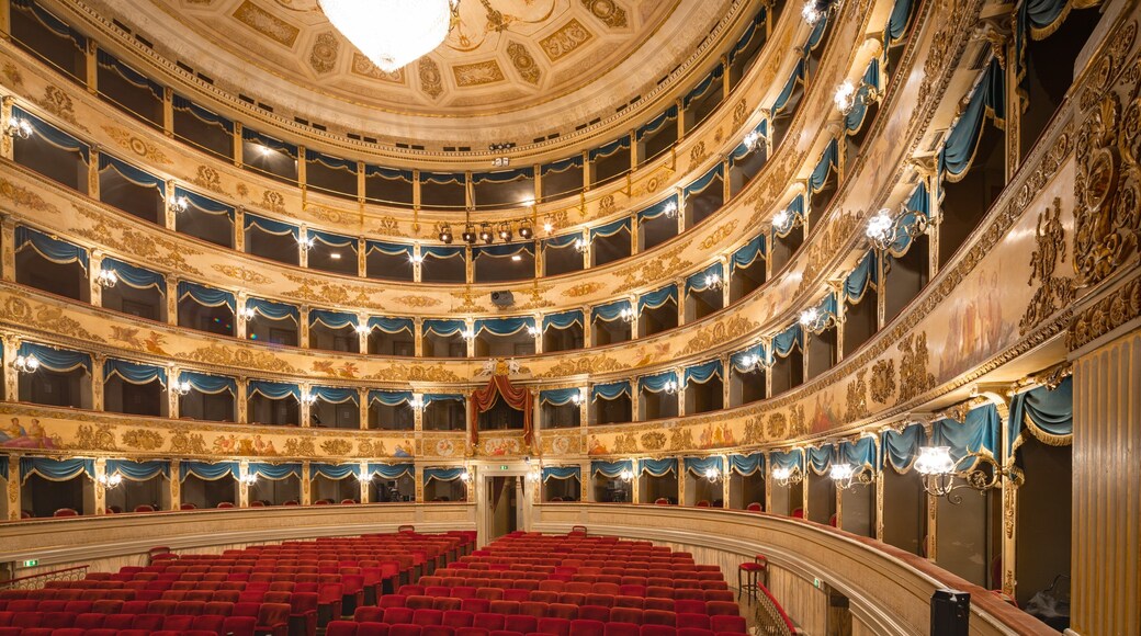 Emilia-Romagna featuring heritage elements, theater scenes and interior views