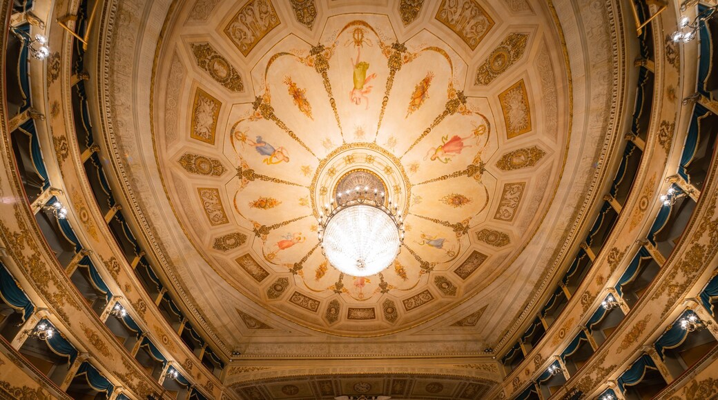 Teatro Comunale Alighieri showing interior views and heritage elements