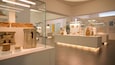 Een museum binnen met glazen vitrines vol oude artefact.