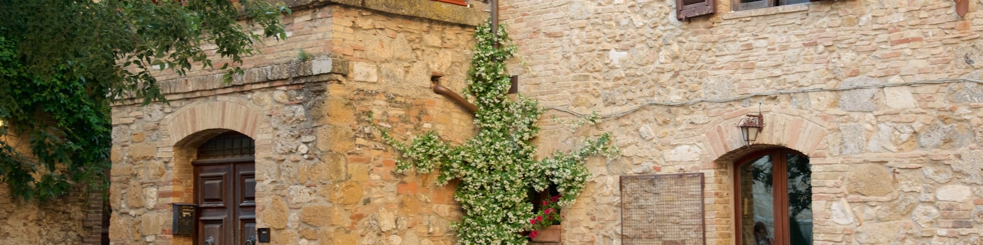 Piazza delle Erbe showing heritage architecture