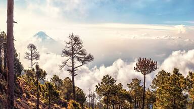 Volcanoes Agua and Fuego,View from Acatenango, Guatemala