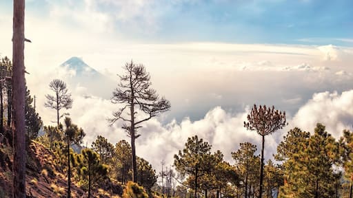 Volcanoes Agua and Fuego,View from Acatenango, Guatemala