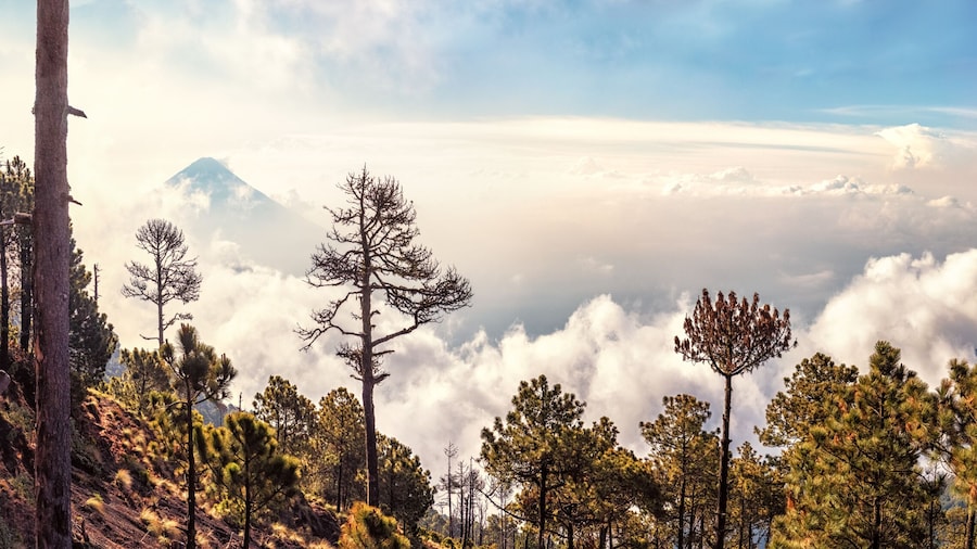 Volcanoes Agua and Fuego,View from Acatenango, Guatemala