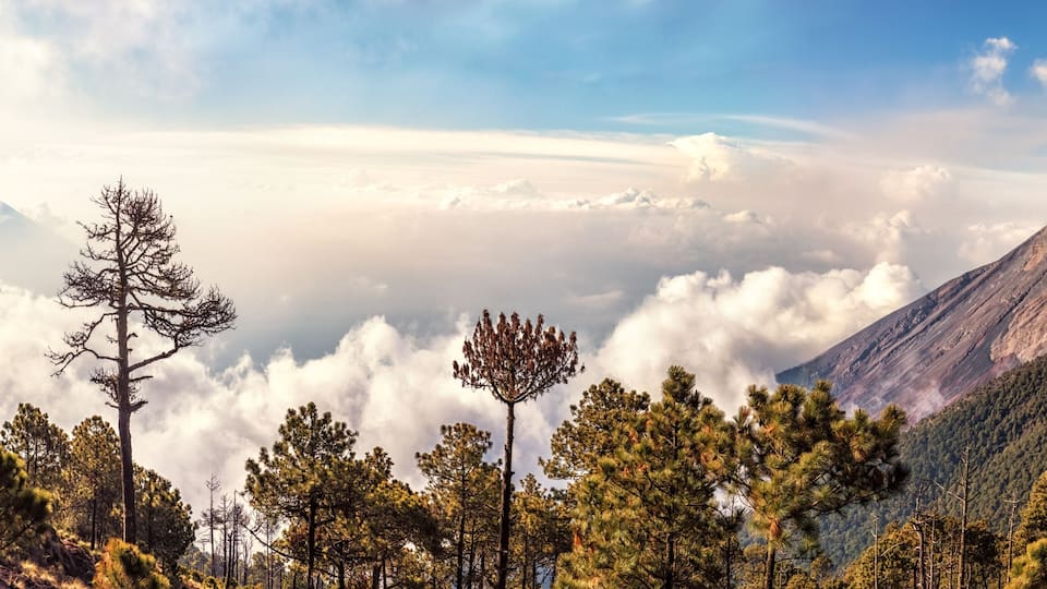 A mountain with a volcanic eruption, surrounded by pine trees and clouds.