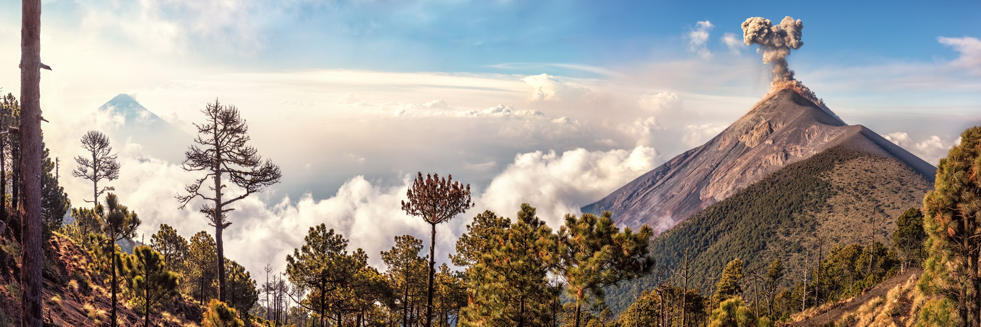 A mountain with a volcanic eruption, surrounded by pine trees and clouds.