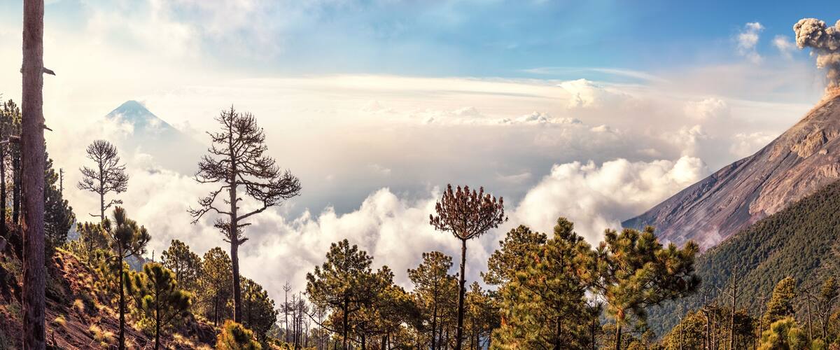 A mountain with a volcanic eruption, surrounded by pine trees and clouds.
