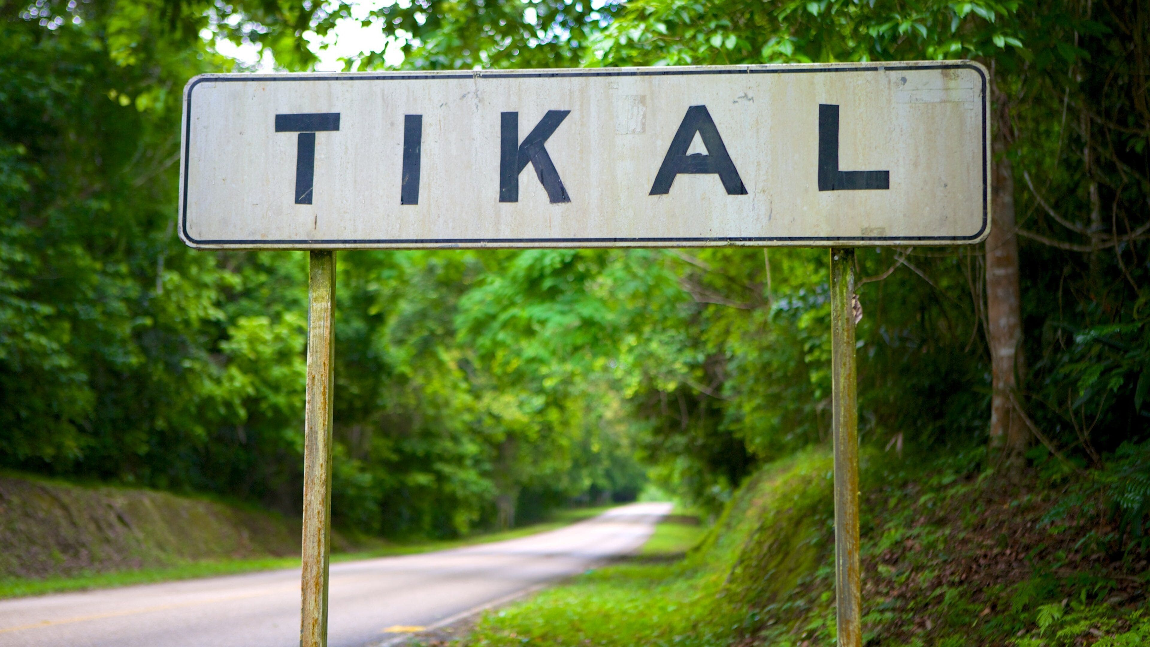 Tikal montrant signalisation