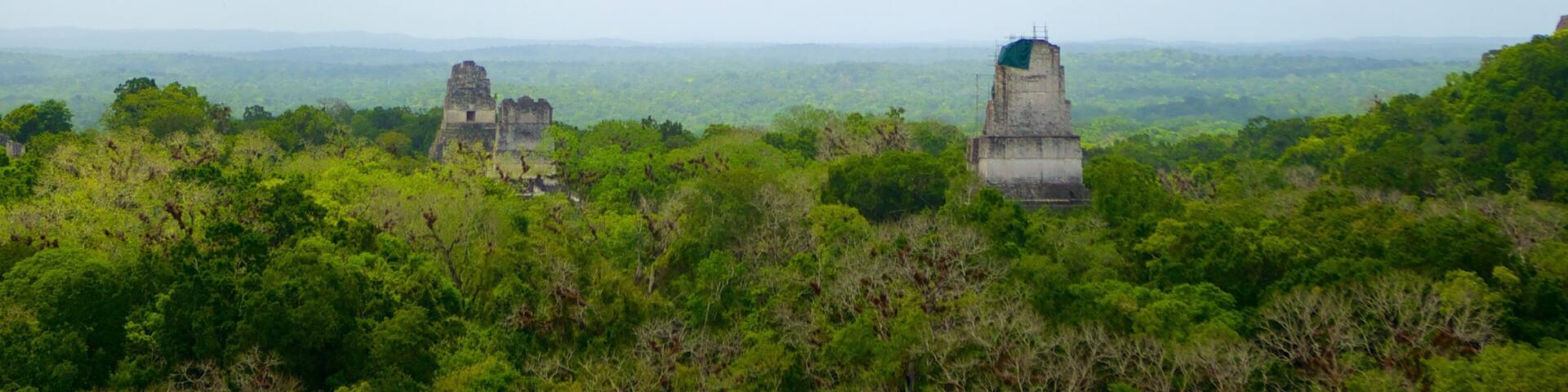 Tikal which includes forests and landscape views