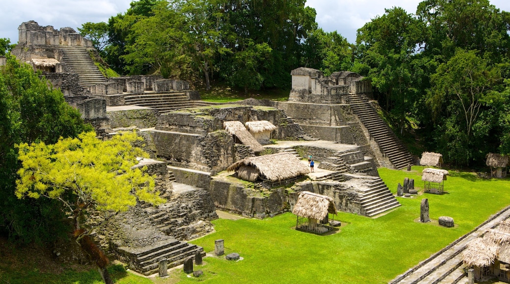 Tikal som omfatter kulturarvsgenstande, udsigt over landskaber og bygningsruiner