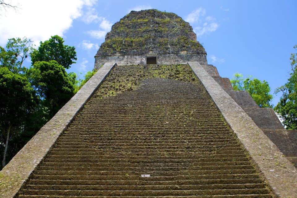 Una gran pirámide de piedra con una escalera que lleva a la cima, rodeada de frondosos árboles verdes.